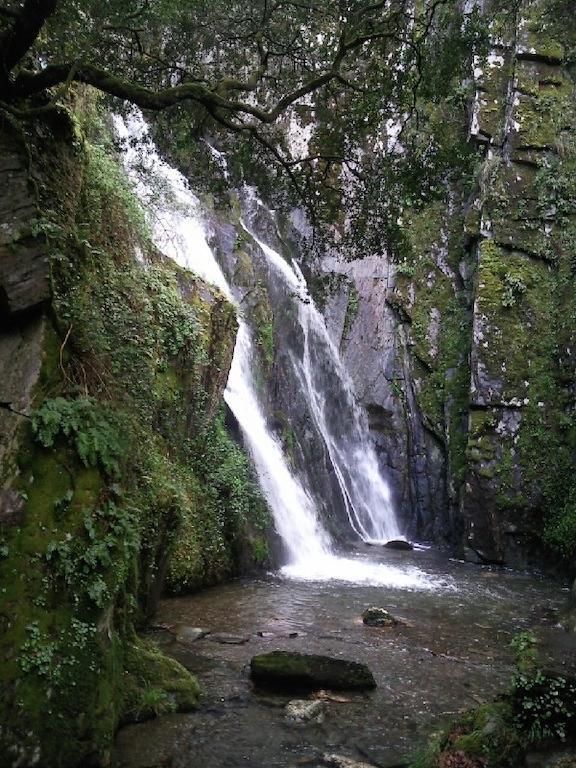 Отель Alojamento Local De Pardieiros Avo Экстерьер фото