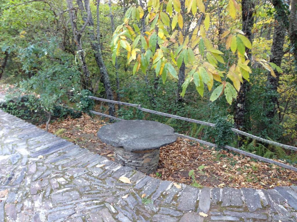 Отель Alojamento Local De Pardieiros Avo Экстерьер фото